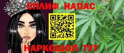 крисы Дубна