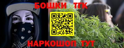 крисы Дубна
