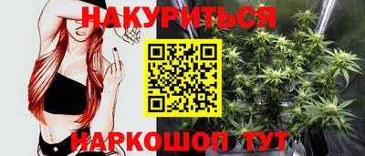крисы Дубна