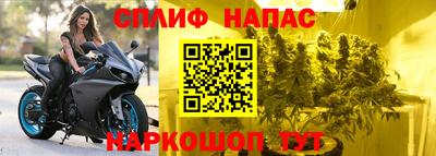 дживик Донецк