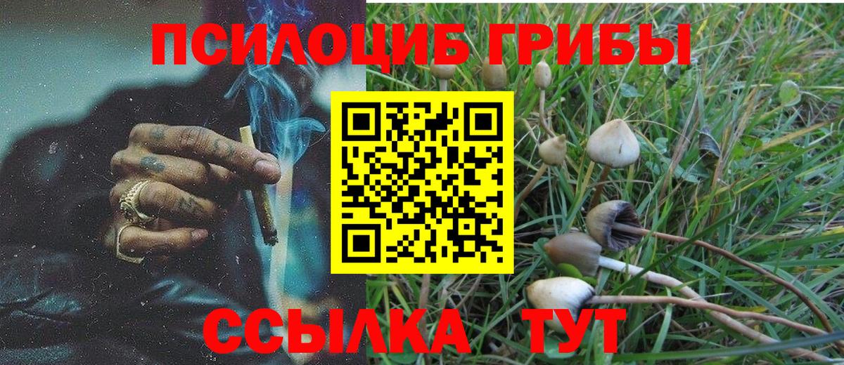 Галлюциногенные грибы Psilocybe Мегион