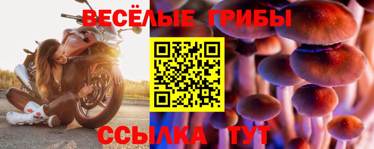 Мегион  Псилоцибиновые грибы мицелий  Галлюциногенные грибы GOLDEN TEACHER  Вход с VPN 